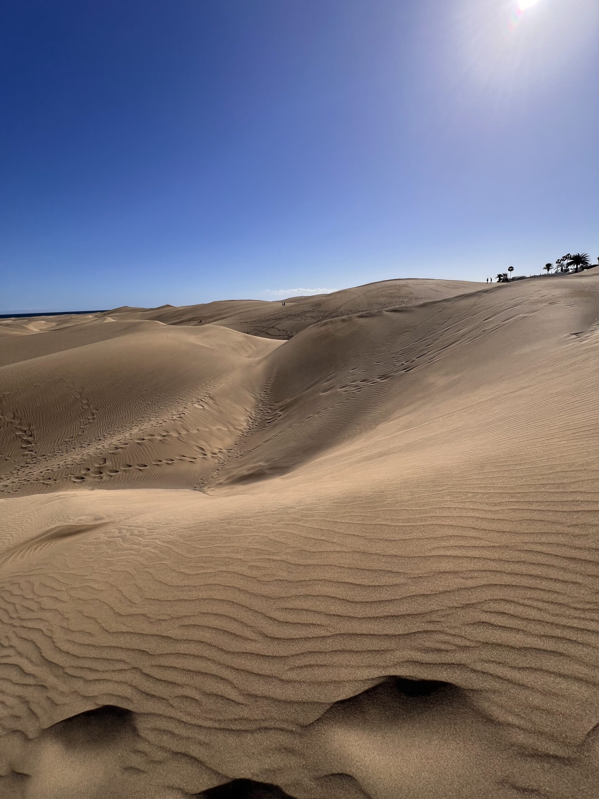 Gran Kanarija: nuo kopų iki kalnų per vieną dieną