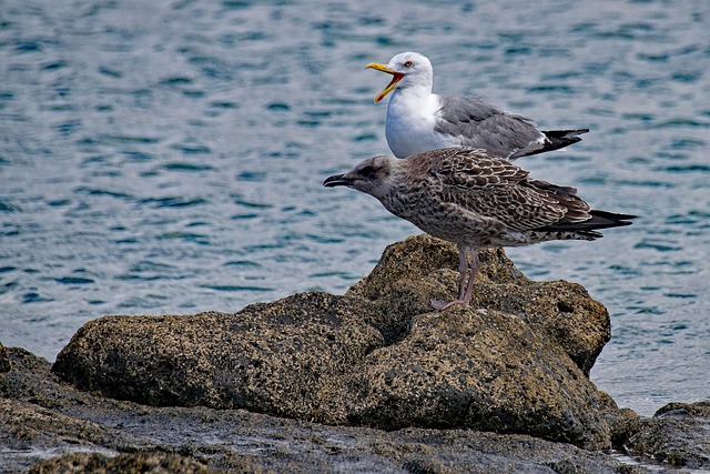 La Graciosa – Kanarų salų paslėptas perlas